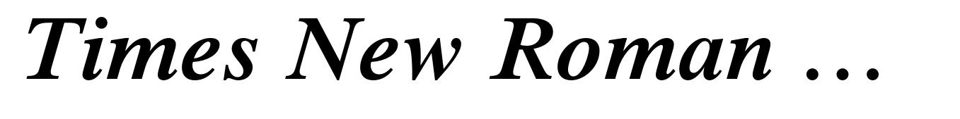 Times New Roman Pro Semi Bold Italic
